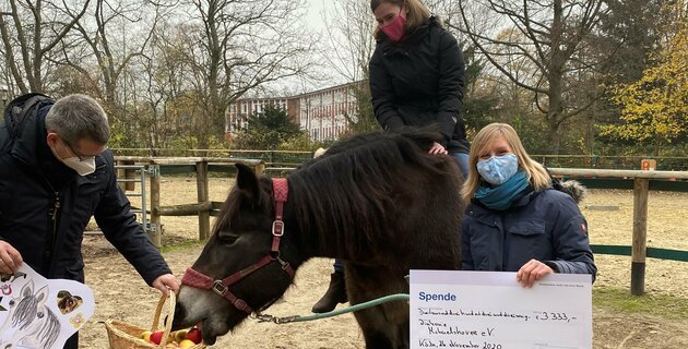 Therapeutisches Reiten Spende