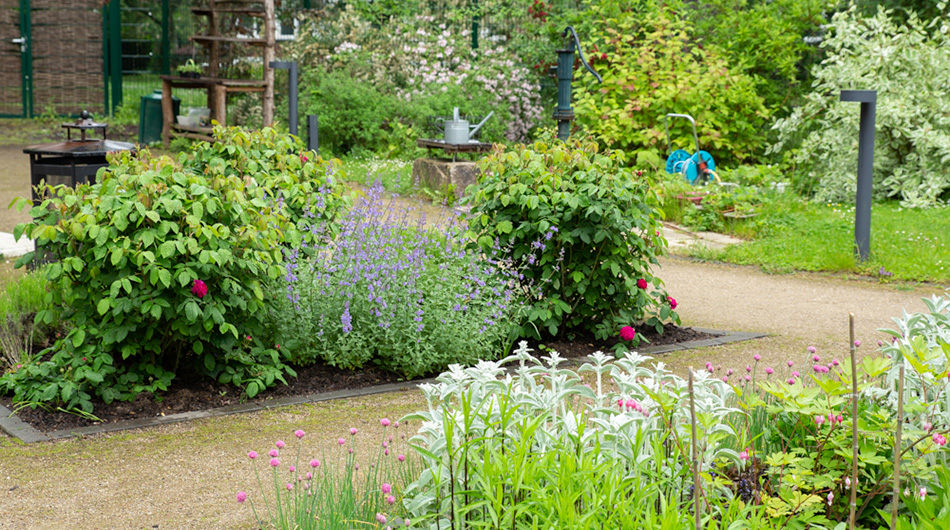 Der Garten des Thomas-Müntzer-Hauses