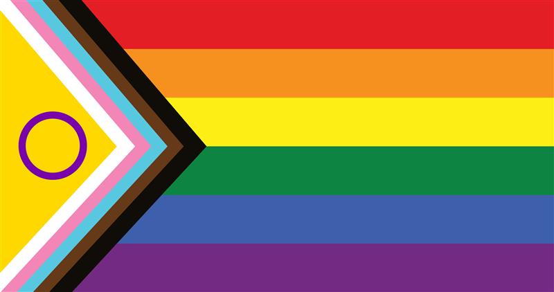 Bunte Flagge Inter* Inclusive Pride Flag 