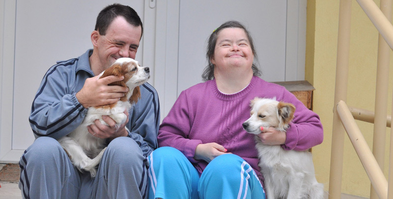 Schatzkiste für Menschen mit Behinderung: Ein Paar sitzt mit zwei Hunden auf einer Treppe.