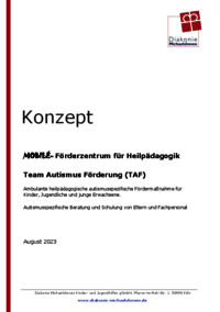 Vorschau: Konzept Mobilé Team Autismus Förderung